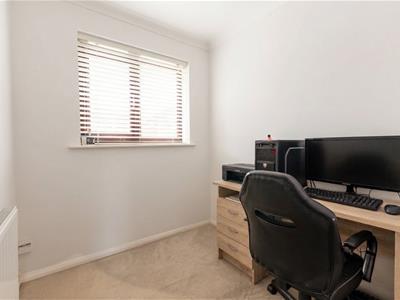 Picture 12